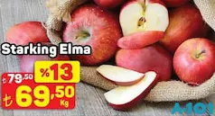 STARKİNG ELMA KG fiyat ve kampanya bilgisi